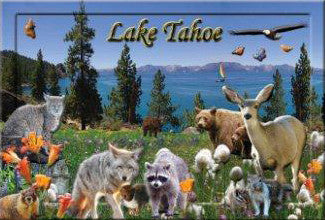 Souvenir Magnet Lake Tahoe 3D