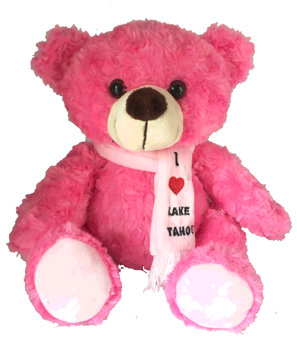 Souvenir Plush Teddy Bear Colorful I Love Lake Tahoe