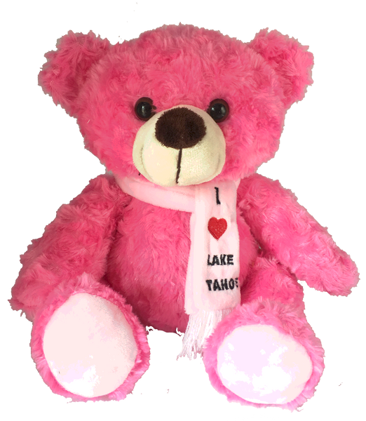 Souvenir Plush Teddy Bear Colorful I Love Lake Tahoe