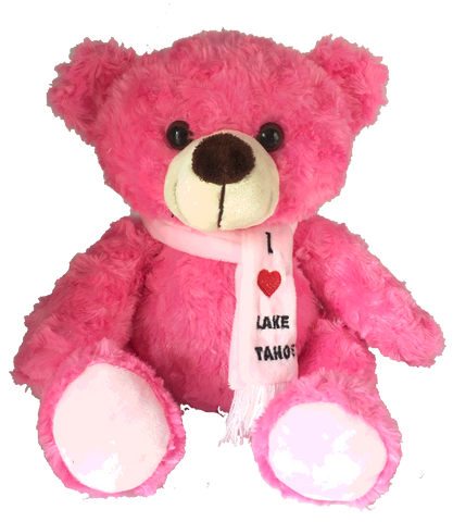 Souvenir Plush Teddy Bear Colorful I Love Lake Tahoe