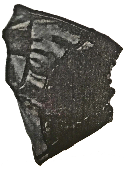 Winter Neck & Head Protection-Balaclava Adult Performance Neck Gaitor