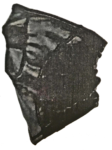 Winter Neck & Head Protection-Balaclava Adult Performance Neck Gaitor